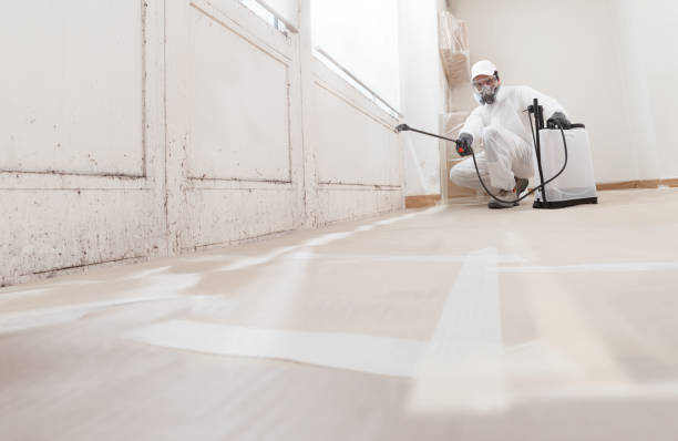 24/7 Emergency Bathroom Mold Removal experts in Fort Myer, VA