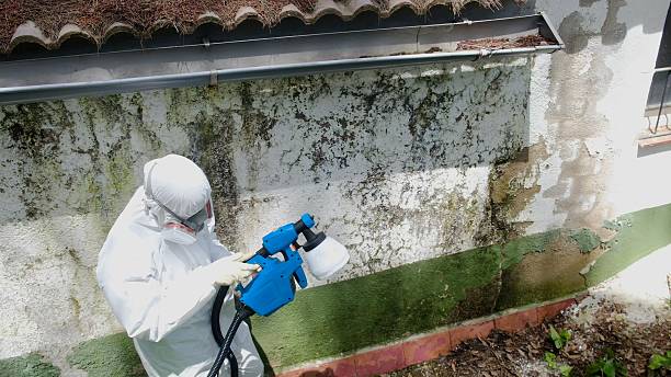 Top rated local Bathroom Mold Removal specialists in Fort Myer, VA
